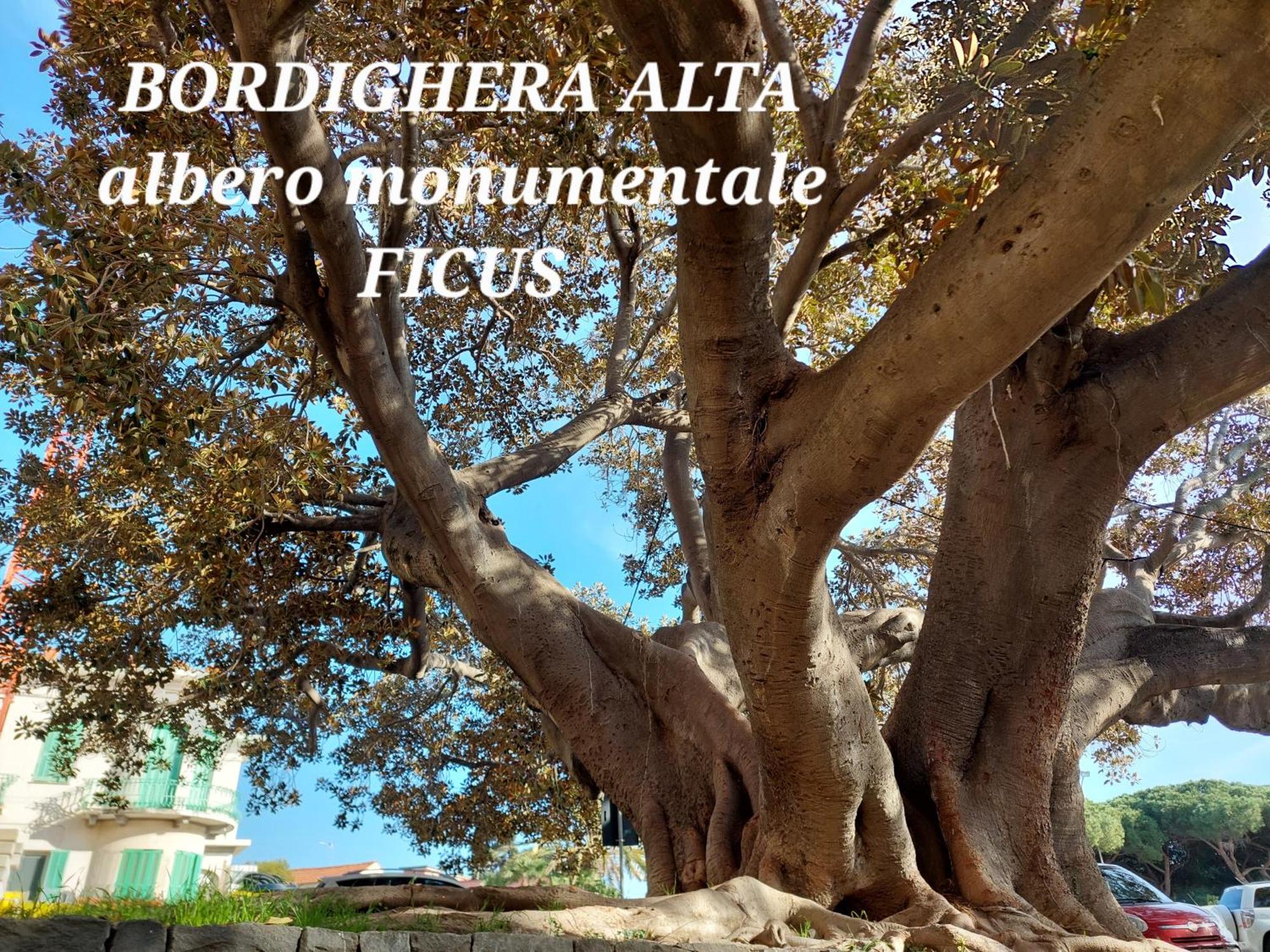 Emozioni Casa Vista Mare Bordighera Εξωτερικό φωτογραφία