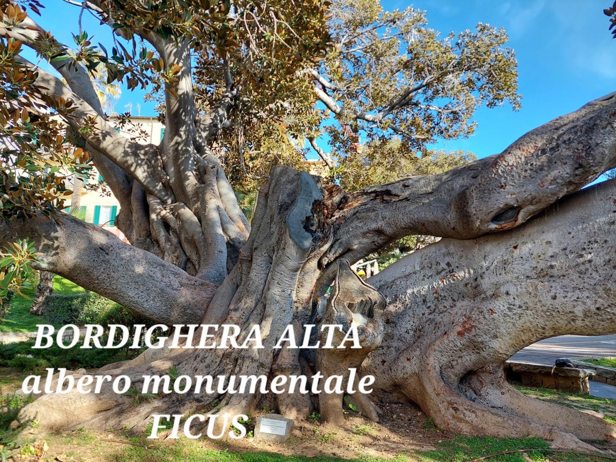 Emozioni Casa Vista Mare Bordighera Εξωτερικό φωτογραφία