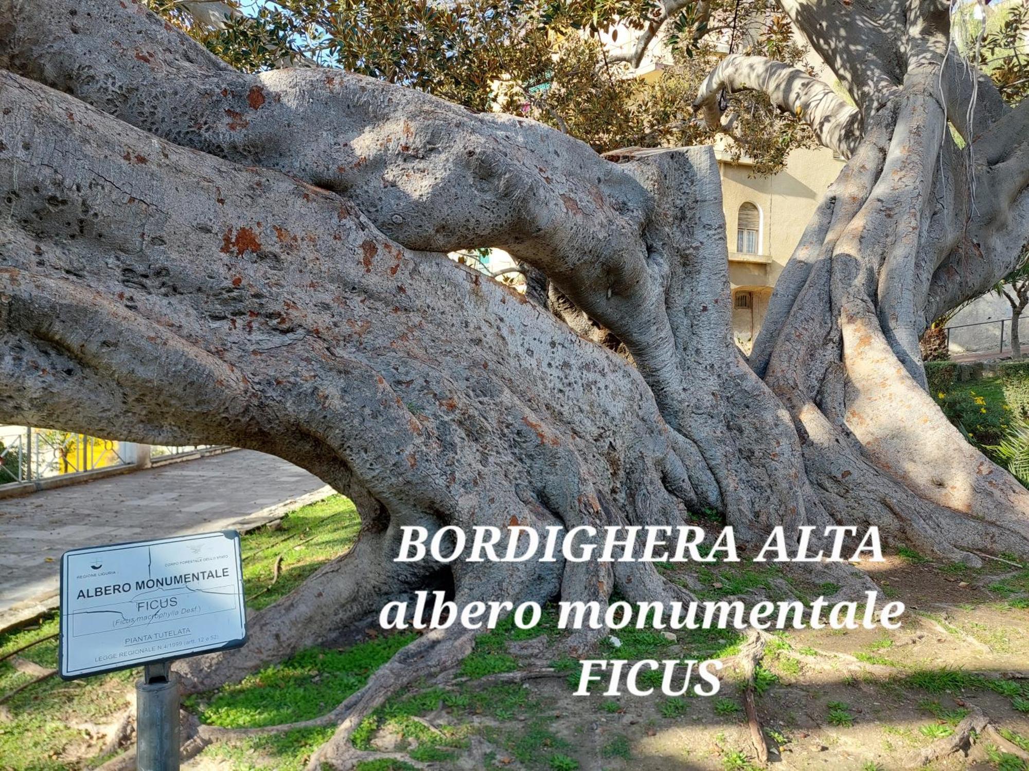 Emozioni Casa Vista Mare Bordighera Εξωτερικό φωτογραφία