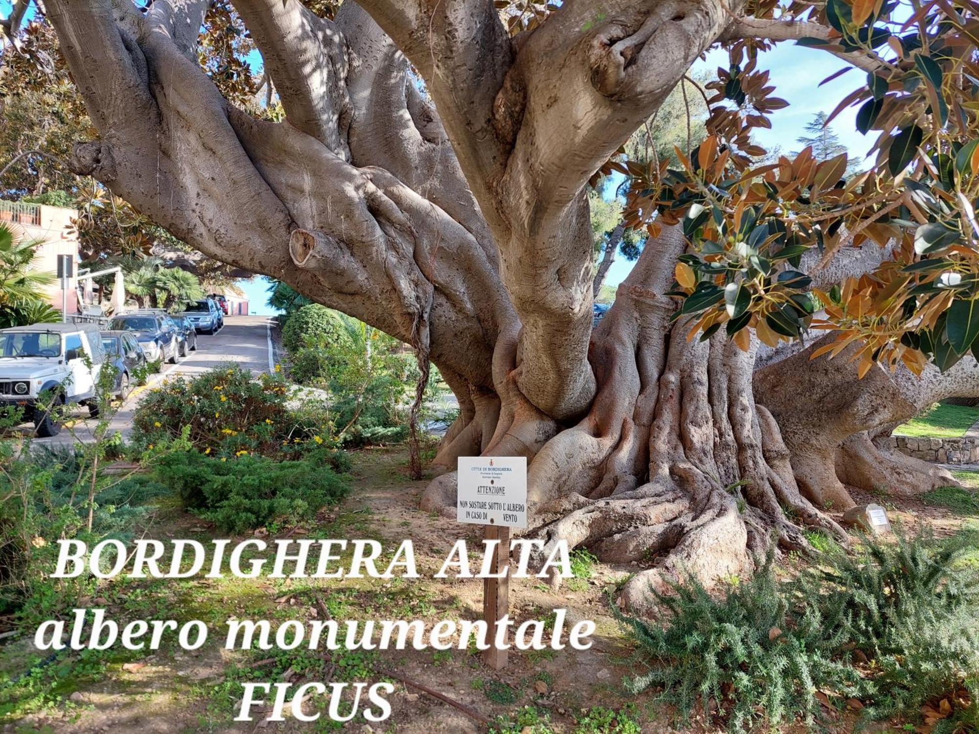 Emozioni Casa Vista Mare Bordighera Εξωτερικό φωτογραφία