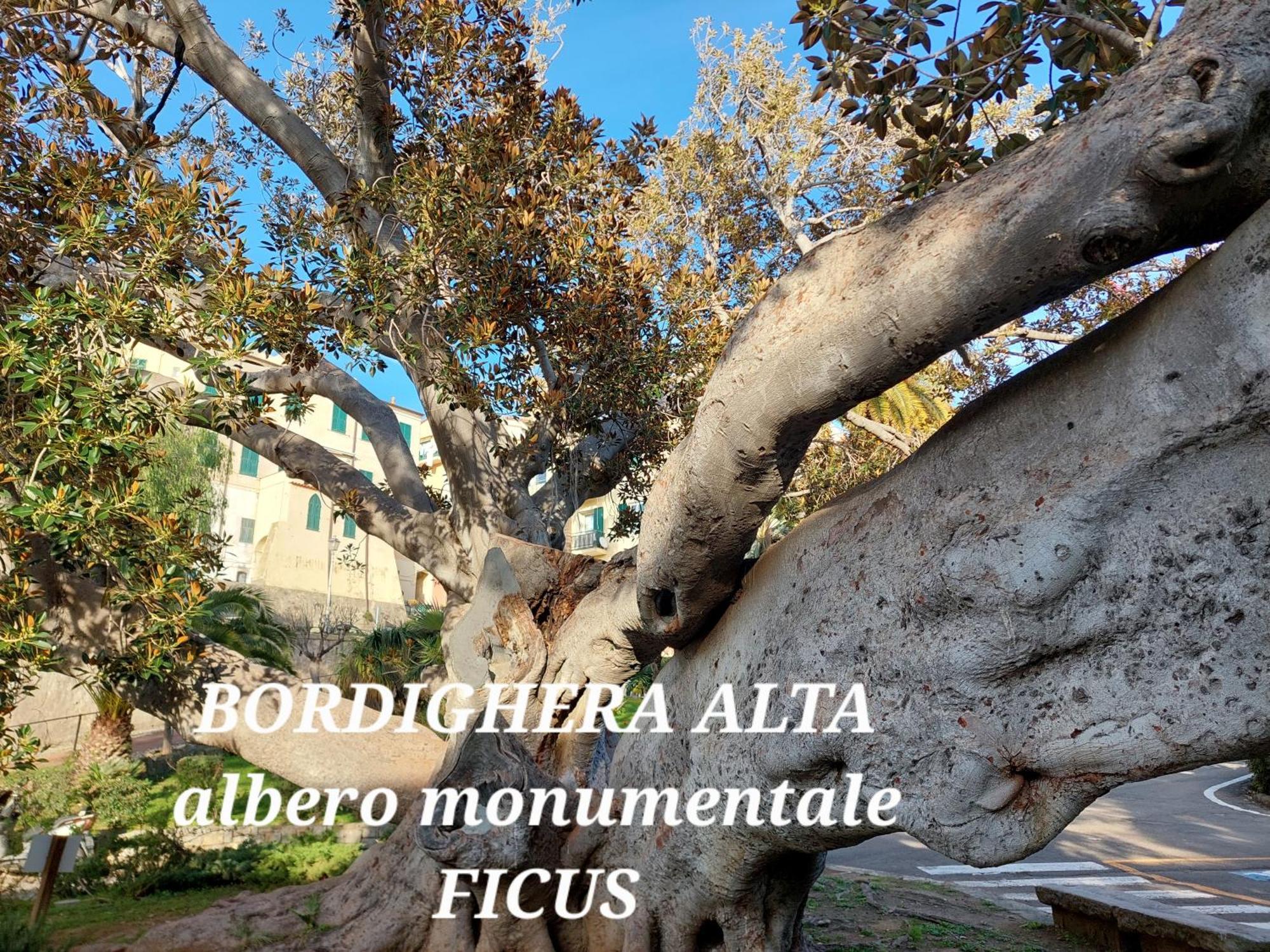 Emozioni Casa Vista Mare Bordighera Εξωτερικό φωτογραφία