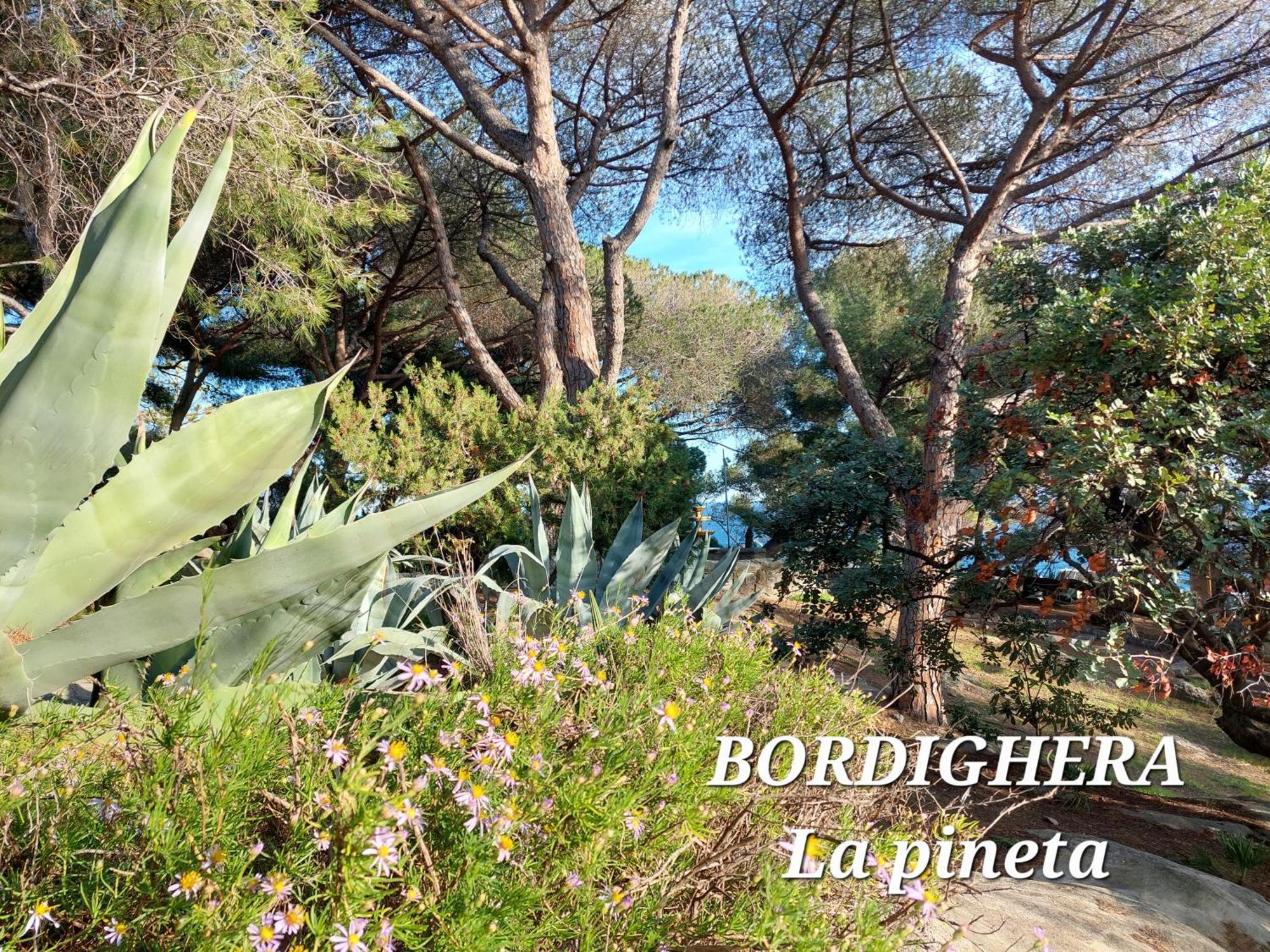 Emozioni Casa Vista Mare Bordighera Εξωτερικό φωτογραφία