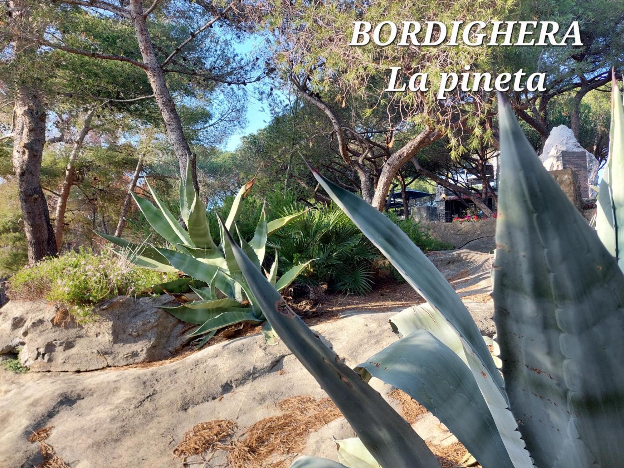 Emozioni Casa Vista Mare Bordighera Εξωτερικό φωτογραφία