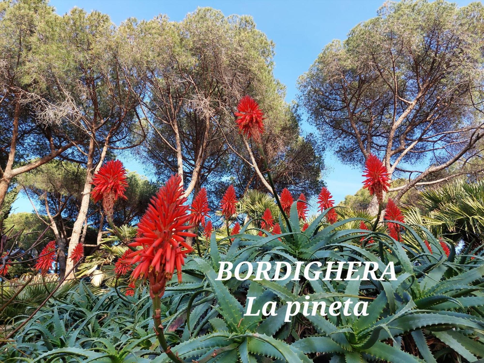 Emozioni Casa Vista Mare Bordighera Εξωτερικό φωτογραφία